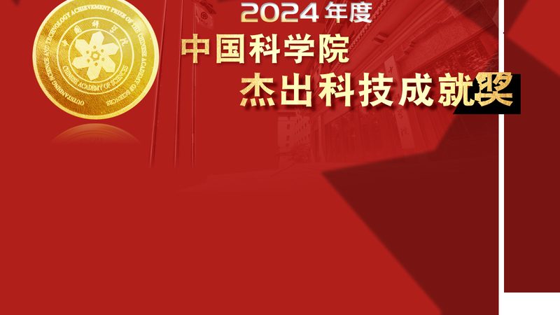 软件定制开发项目时间周期：揭秘影响其速度的关键因素